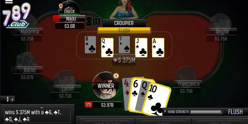 Tổng quan về bài Poker 789club
